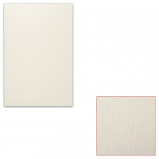 Картон белый грунтованный для масляной живописи, 20х30 см, односторонний, толщина 0,9 мм, масляный грунт