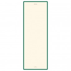 Блокнот А5 (144х212 мм), 100 л., твердая обложка, балакрон, открытие вверх, BRUNO VISCONTI, Зеленый, 3-103/03