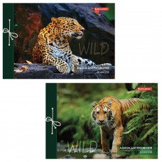 Альбом для рисования А4 40 л., на завязках, обложка картон, BRAUBERG, 200х285 мм, "Дикие кошки" (2 вида), 105615