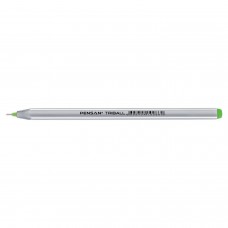 Ручка шариковая масляная PENSAN "Triball", САЛАТОВАЯ, трехгранная, узел 1 мм, линия письма 0,5 мм, 1003/12