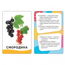 Карточки развивающие "Овощи, фрукты, ягоды", Котятова Н.И., Росмэн, 20988