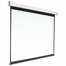 Экран проекционный настенный 135" (248x250 см), электропривод, 1:1, DIGIS Electra-F, DSEF-1108