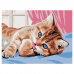 Картина по номерам 15х20 см, ЮНЛАНДИЯ 'Котёнок', на подрамнике, акрил, кисти, 662502