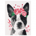 Картина по номерам 15х20 см, ЮНЛАНДИЯ 'Милая собачка', на подрамнике, акрил, кисти, 662508