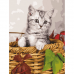 Картина по номерам 40х50 см, ОСТРОВ СОКРОВИЩ 'Котёнок', на подрамнике, акриловые краски, 3 кисти, 662468